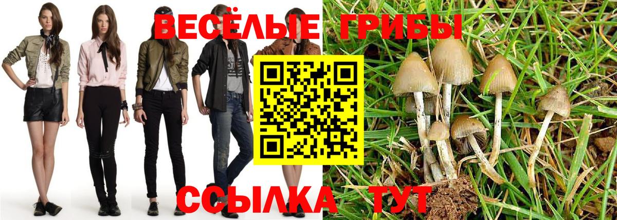 Псилоцибиновые грибы Magic Shrooms  Вход с VPN  Кинешма 