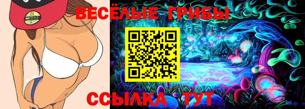 Псилоцибиновые грибы Psilocybine cubensis Кинешма